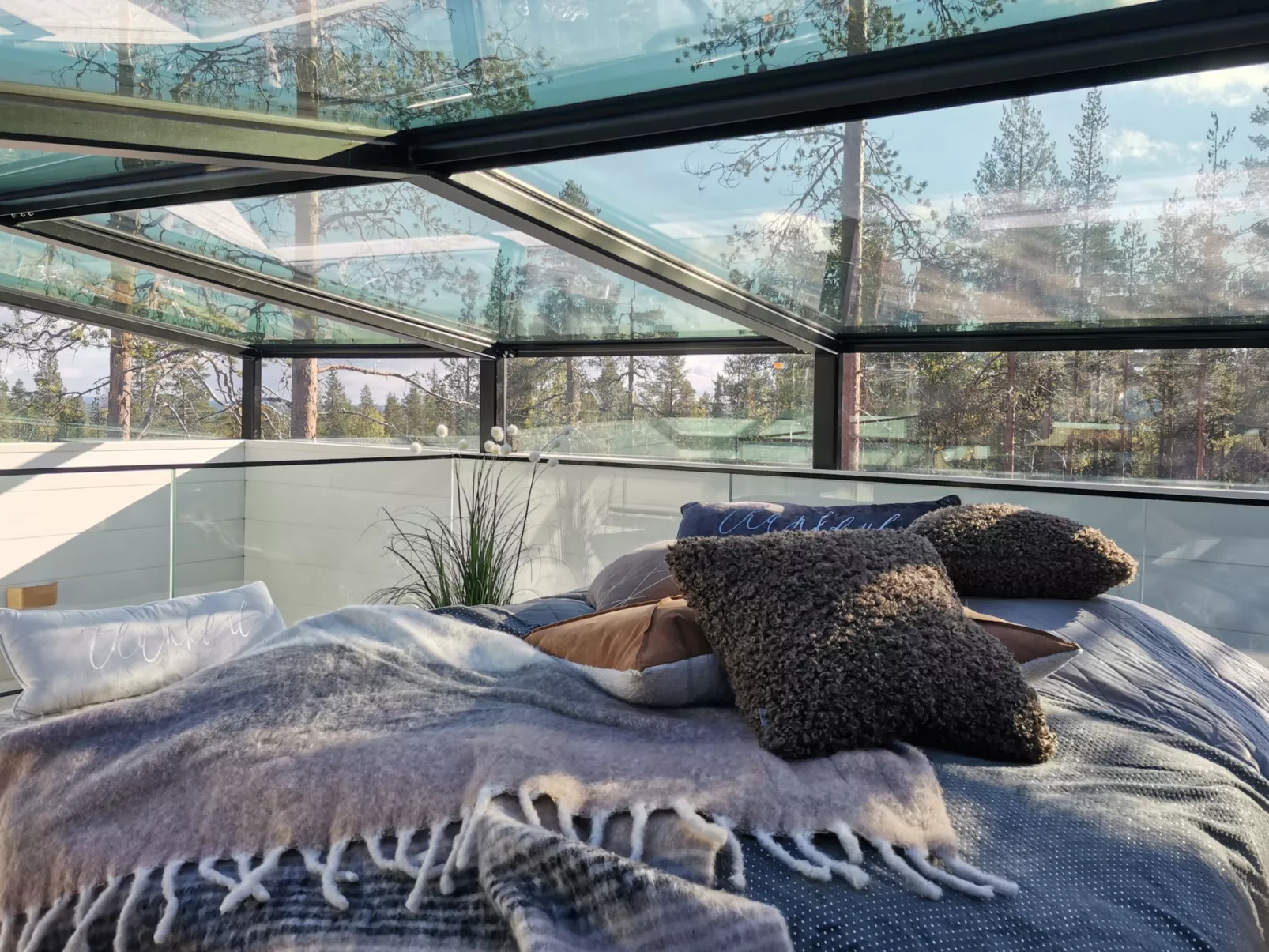 Levi secret igloo ruska 8d