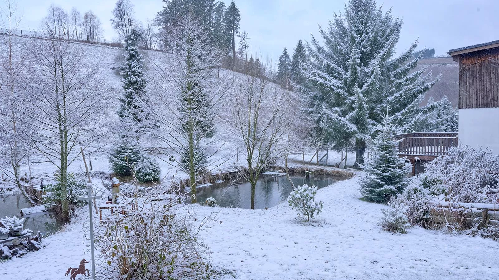 Am Damwildgehege I-Tuin winter