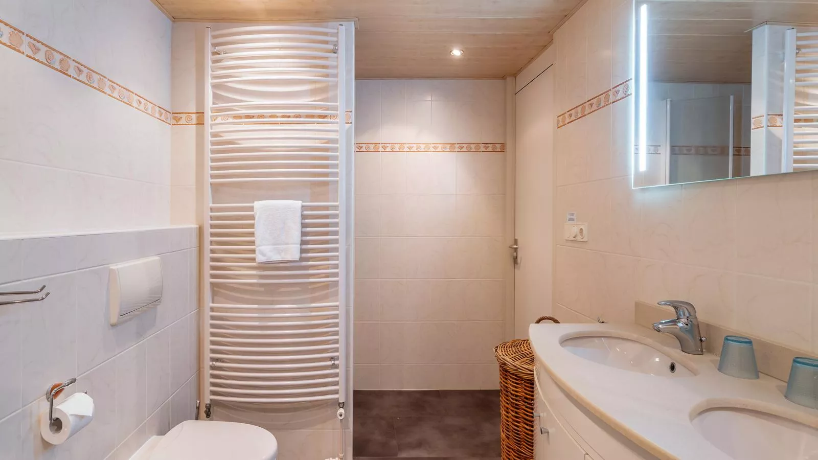 De Brouwersdam-Badkamer