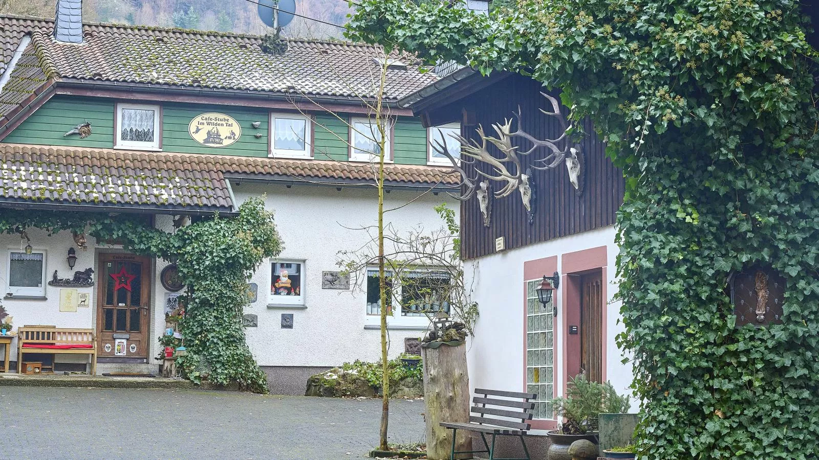 Am Damwildgehege I-Exterieur winter