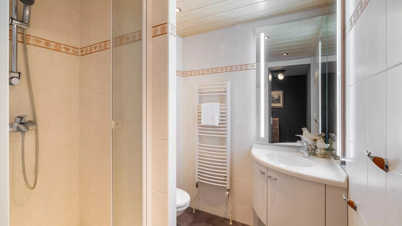 De Brouwersdam-Badkamer