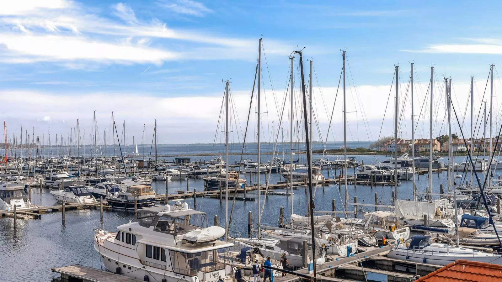 De Brouwersdam-Gebieden zomer 1km