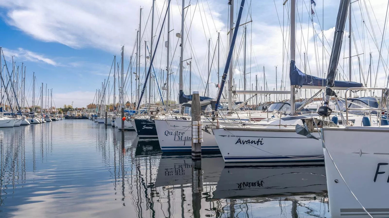 De Brouwersdam-Gebieden zomer 1km