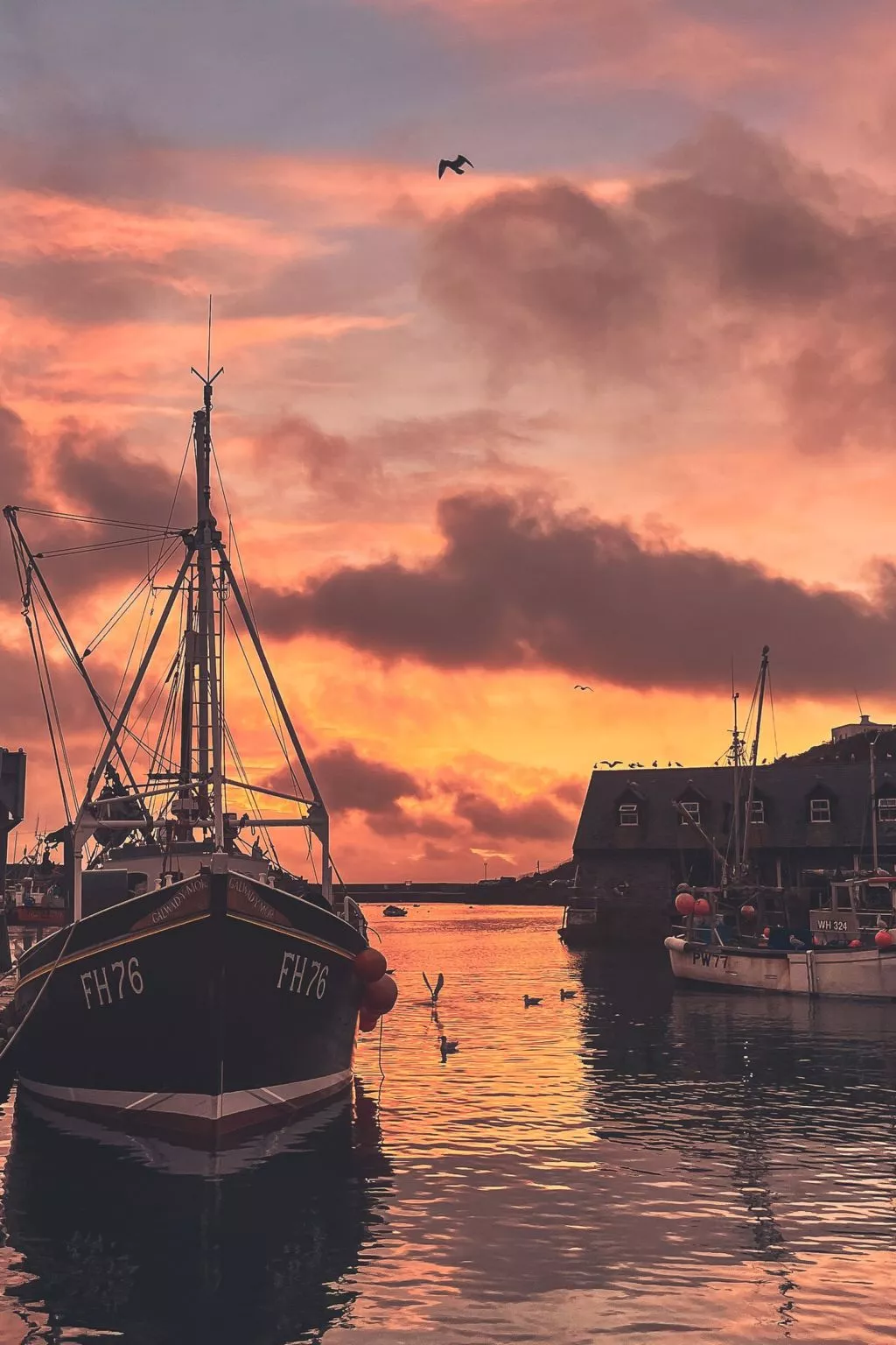 4 Ocean Heights-Omgeving