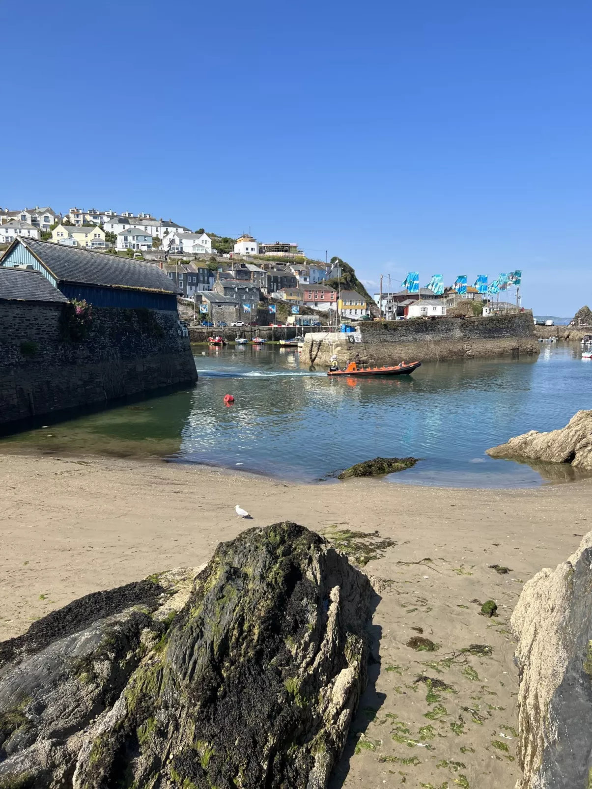 4 Ocean Heights-Omgeving