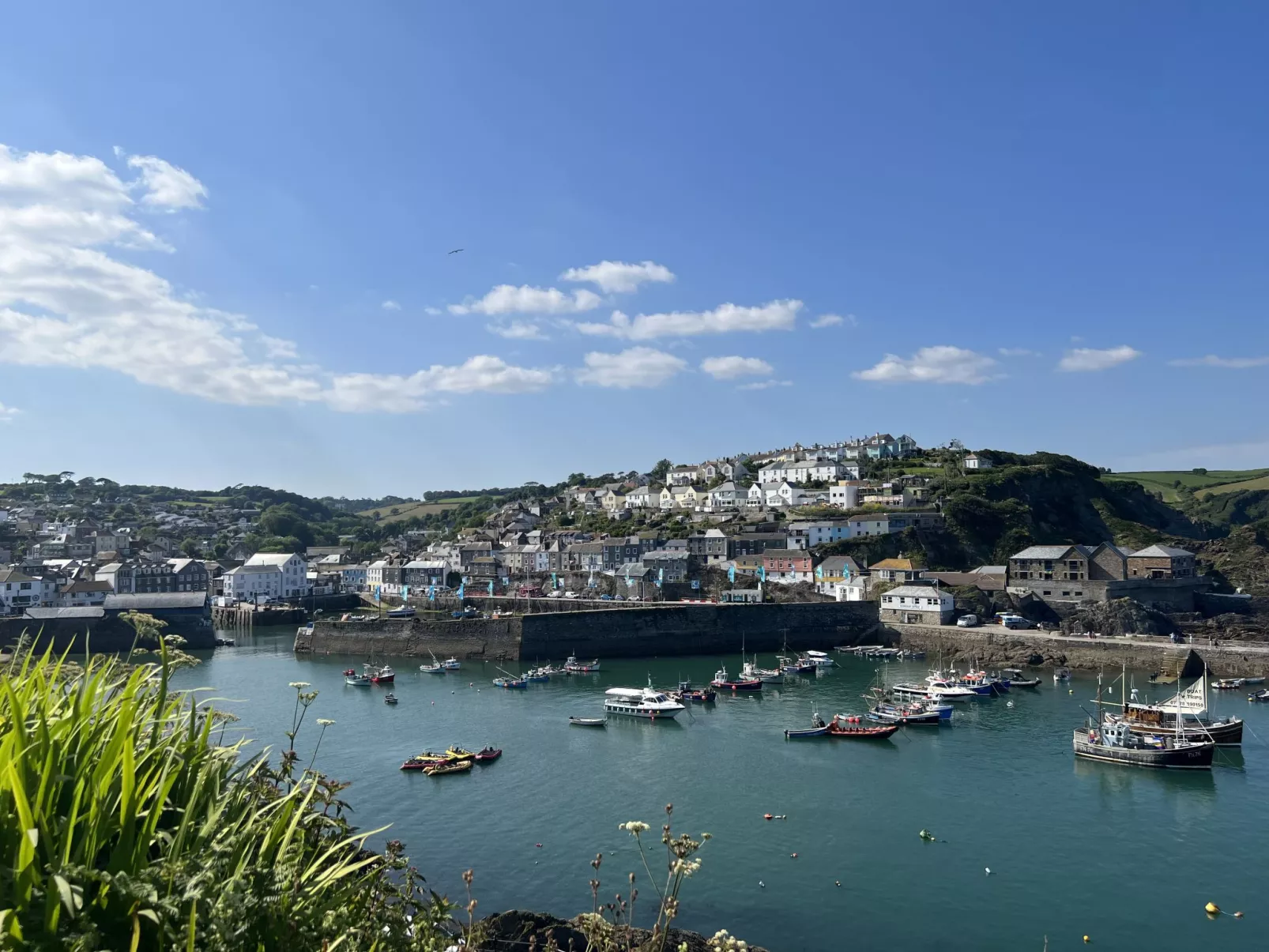 4 Ocean Heights-Omgeving