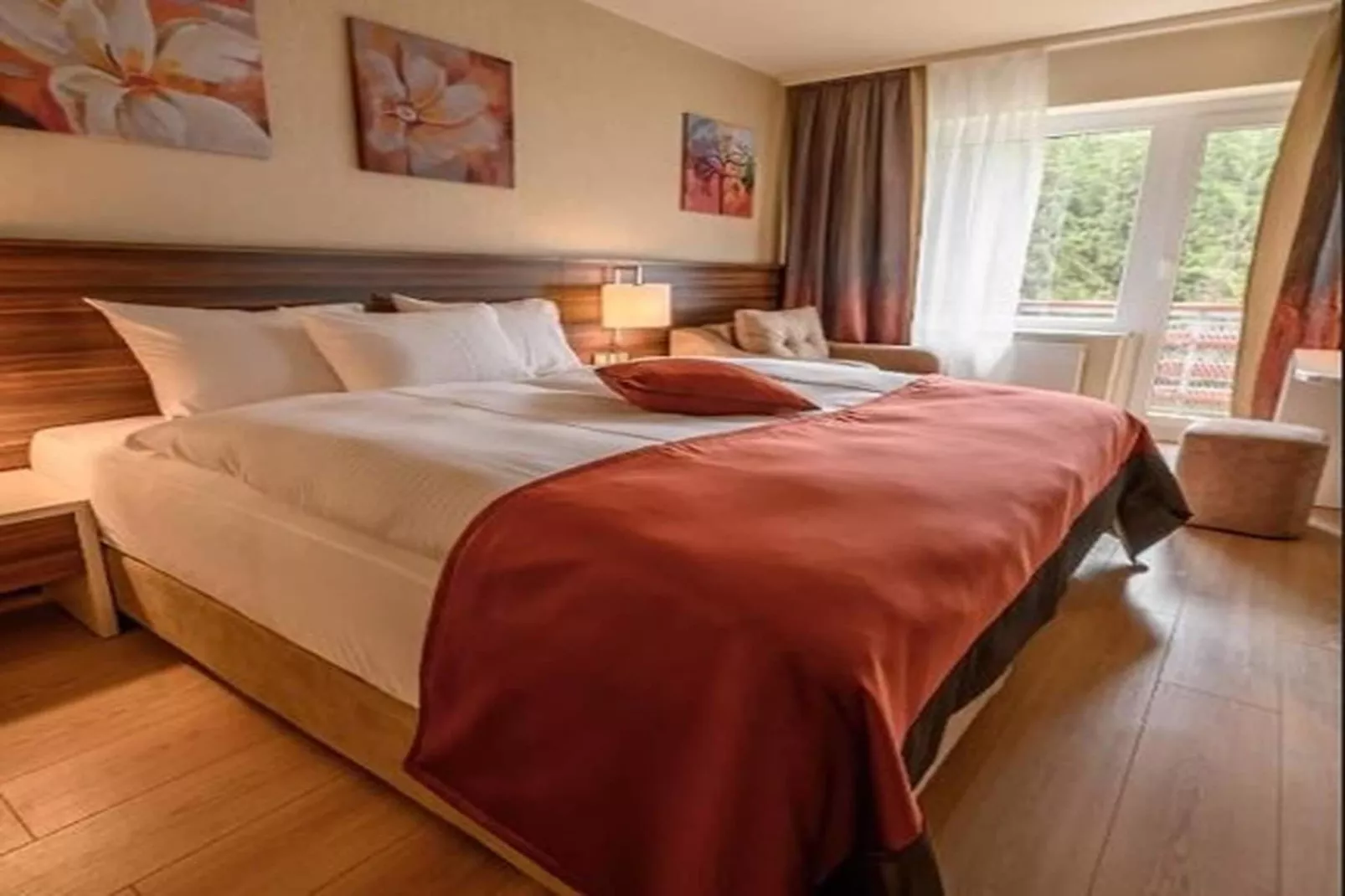 Schwarzbachtal  - Double Room Forest View with Balcony