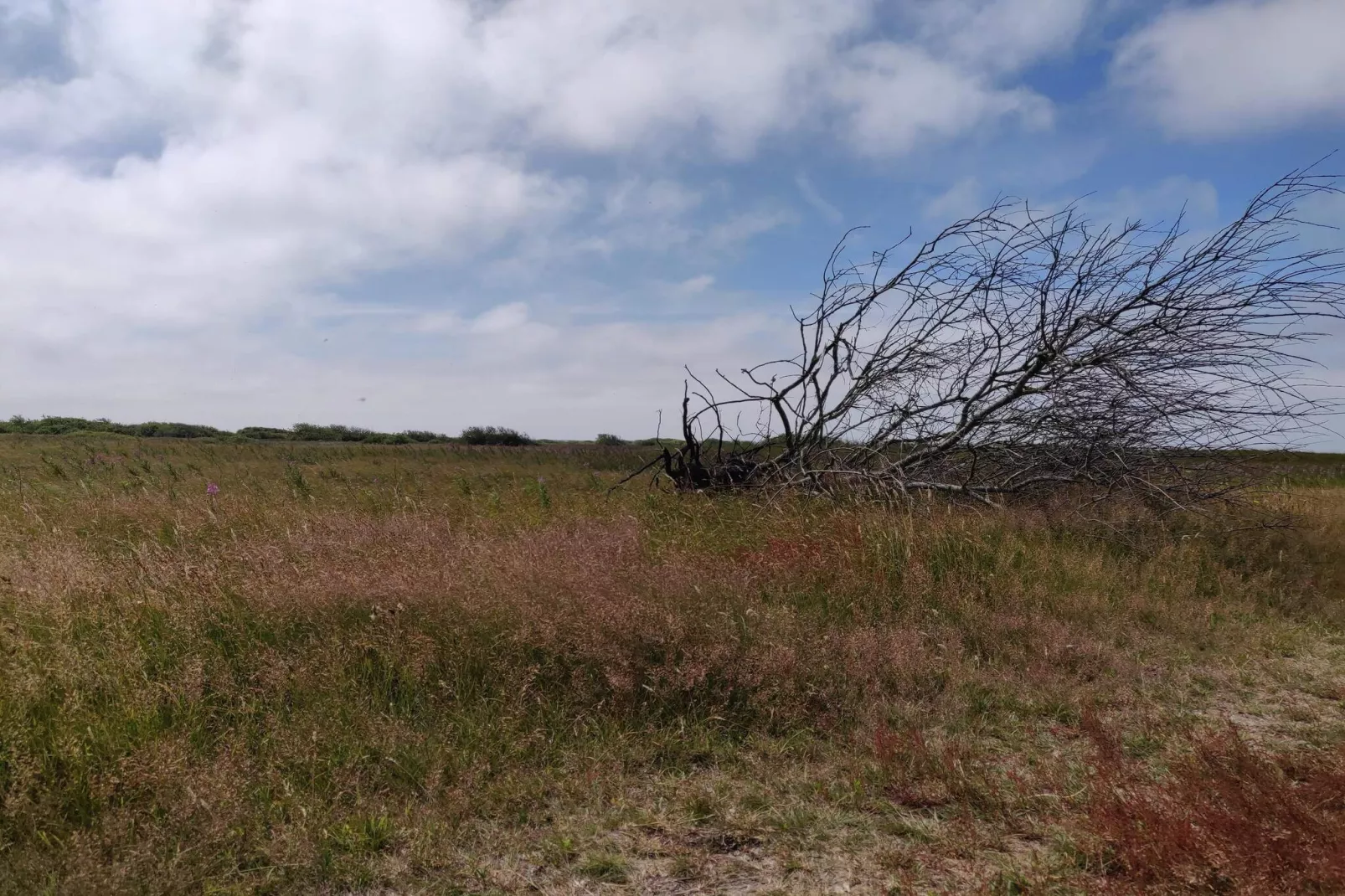 6 persoons vakantie huis in Hvide Sande-Niet-getagd