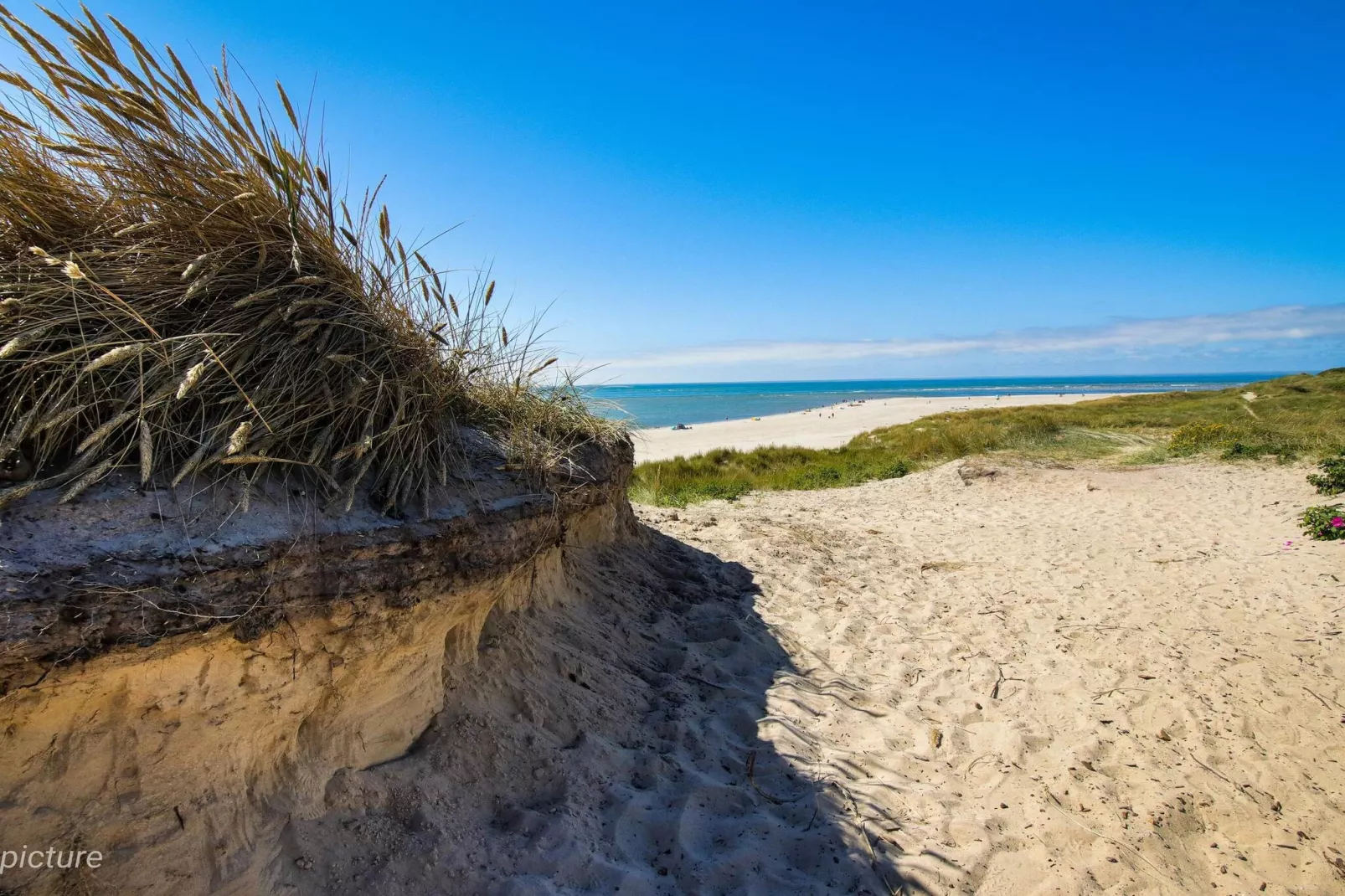 8 persoons vakantie huis in Blåvand-Waterzicht