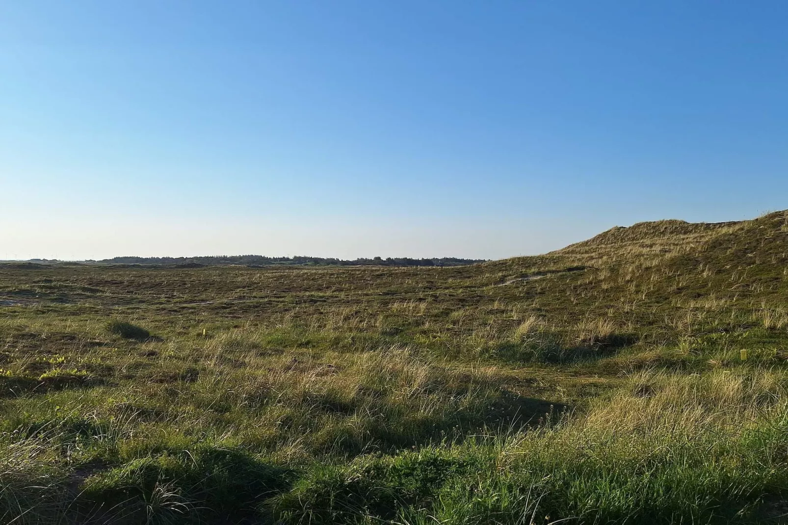 6 persoons vakantie huis in Hvide Sande-Niet-getagd