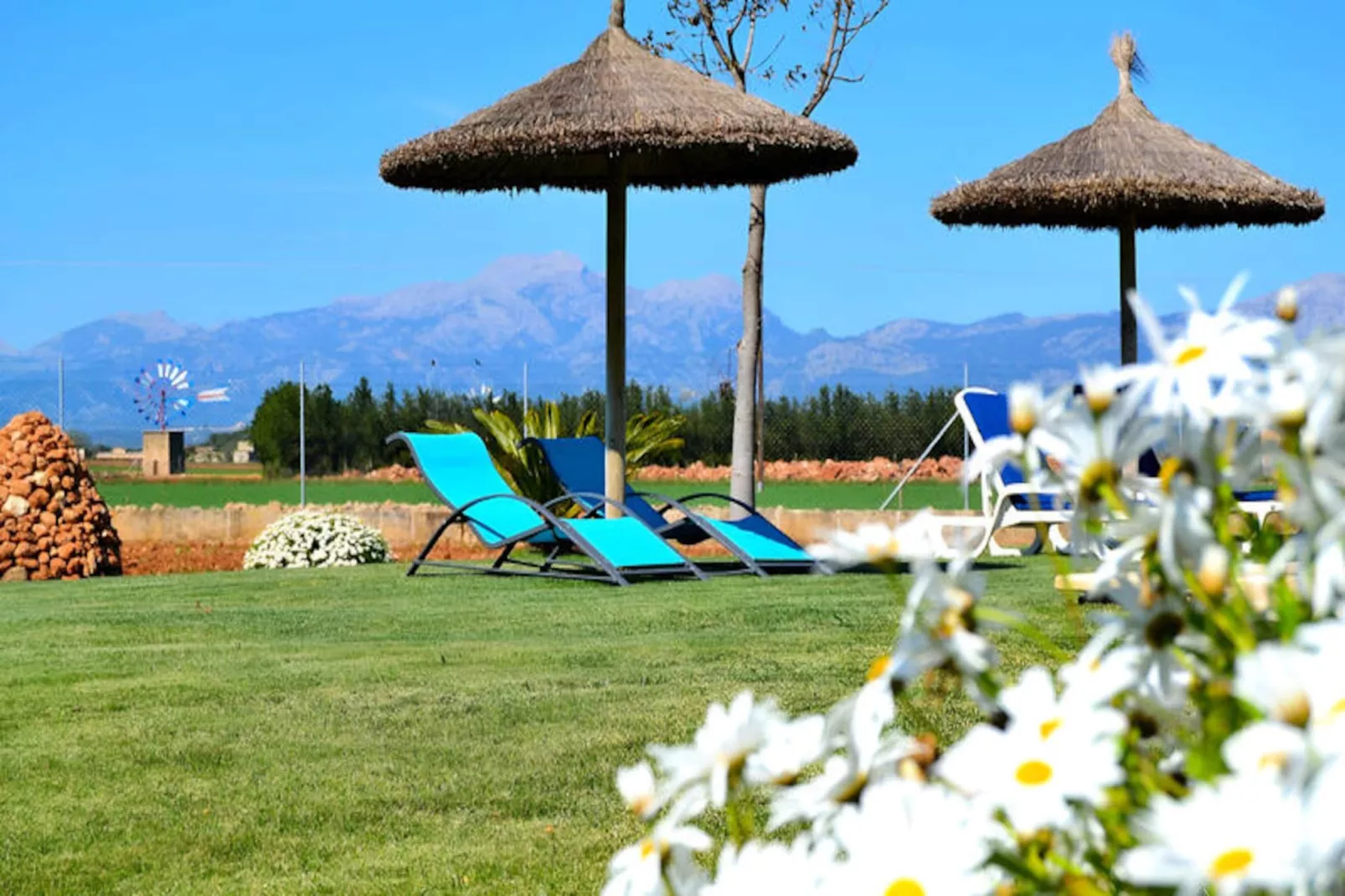 Maison à Muro-Niet-getagd