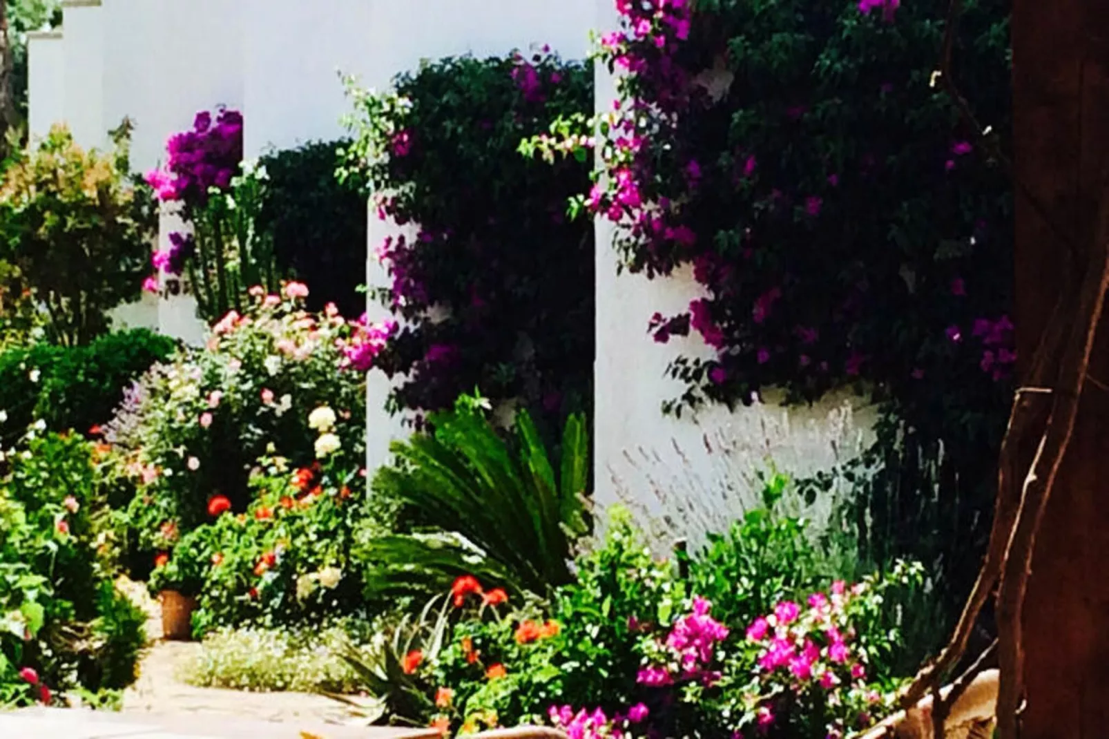 Appartements à Pollença - Port de Pollença-Niet-getagd