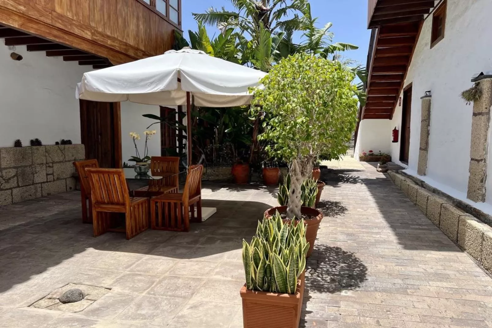 La Bouganvilla - Sitio de la Casa-Terrasbalkon