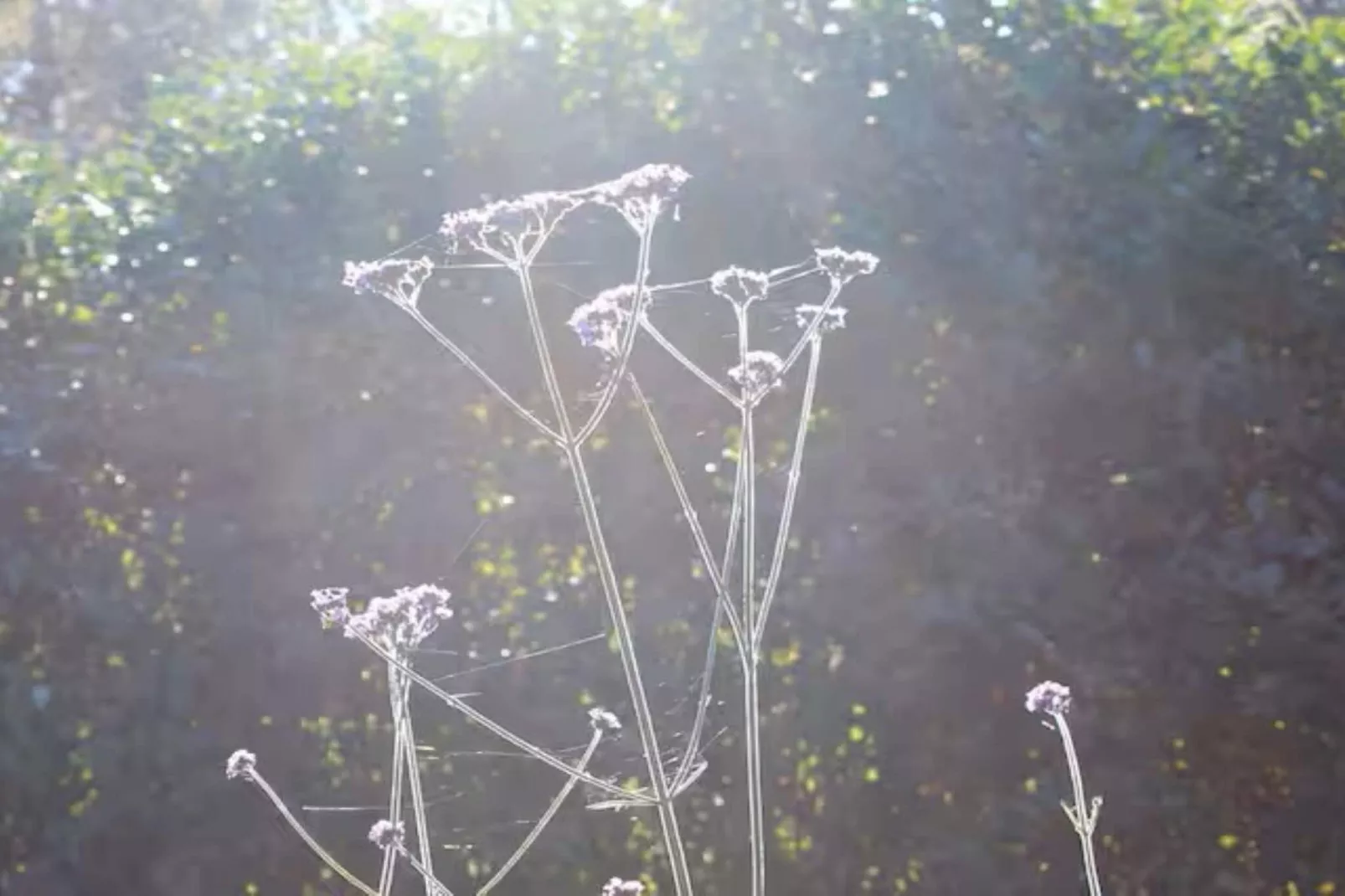 4 Personen vakantie huis in LUR-Buitenlucht