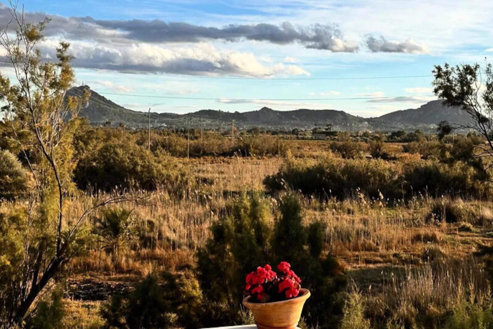 Appartements à Pollença - Port de Pollença-Niet-getagd