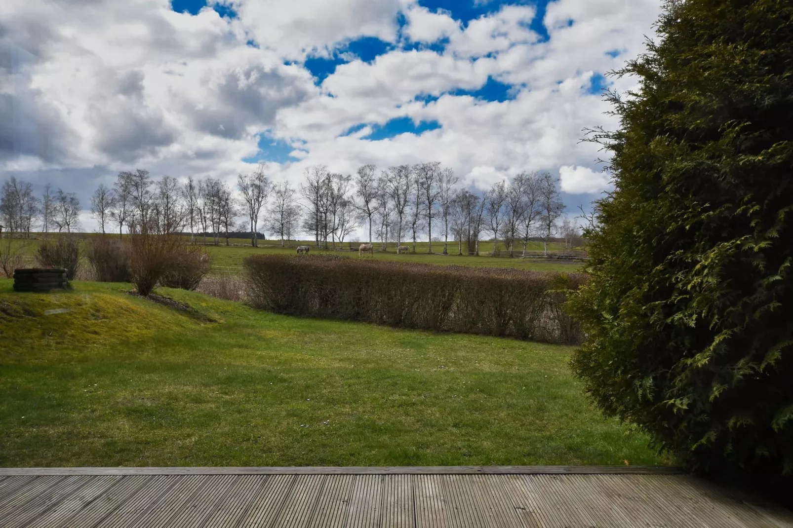 Ferienhaus in Hasselfelde - Haus 602 Auerhahn-Terrasbalkon