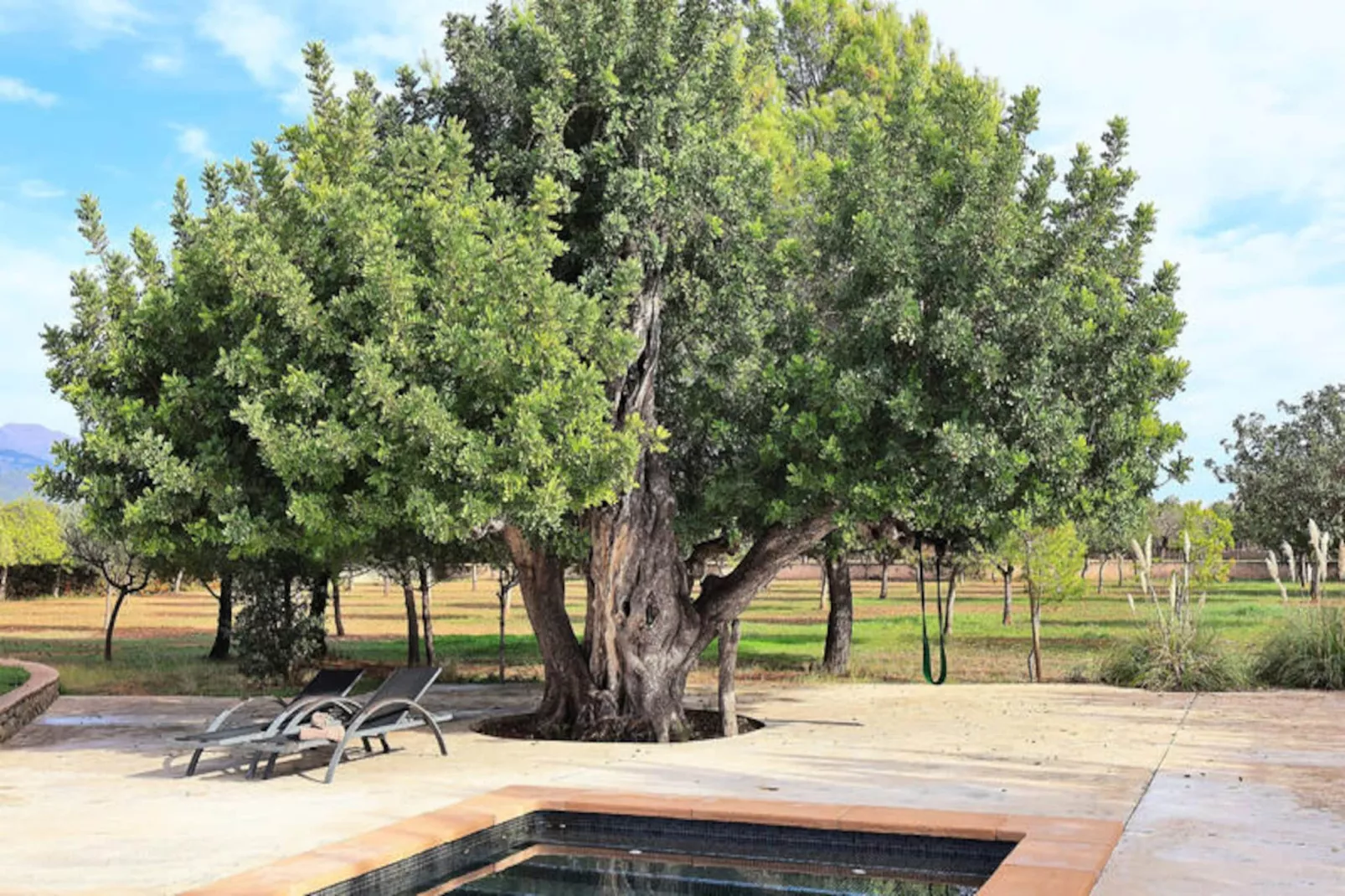 Maison à Binissalem-Niet-getagd