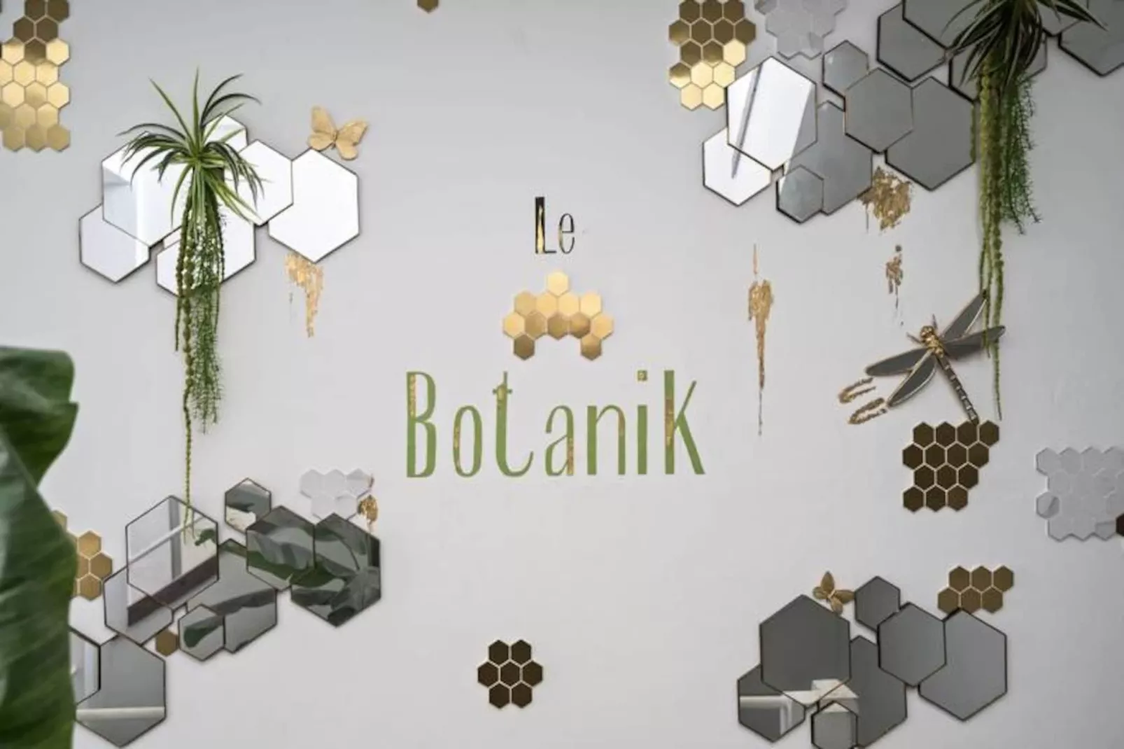 Studio à Fort de France - Niet-getagd