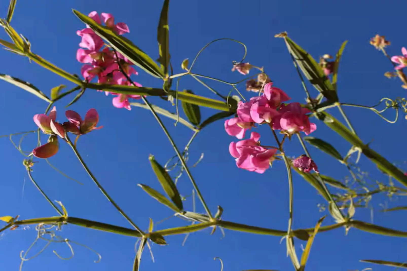 4 Personen vakantie huis in LUR-Buitenlucht