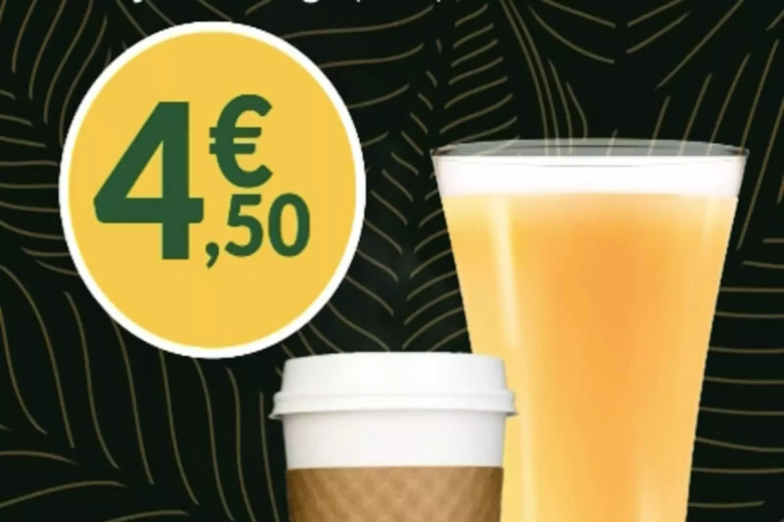 Studio à Fort de France - Niet-getagd