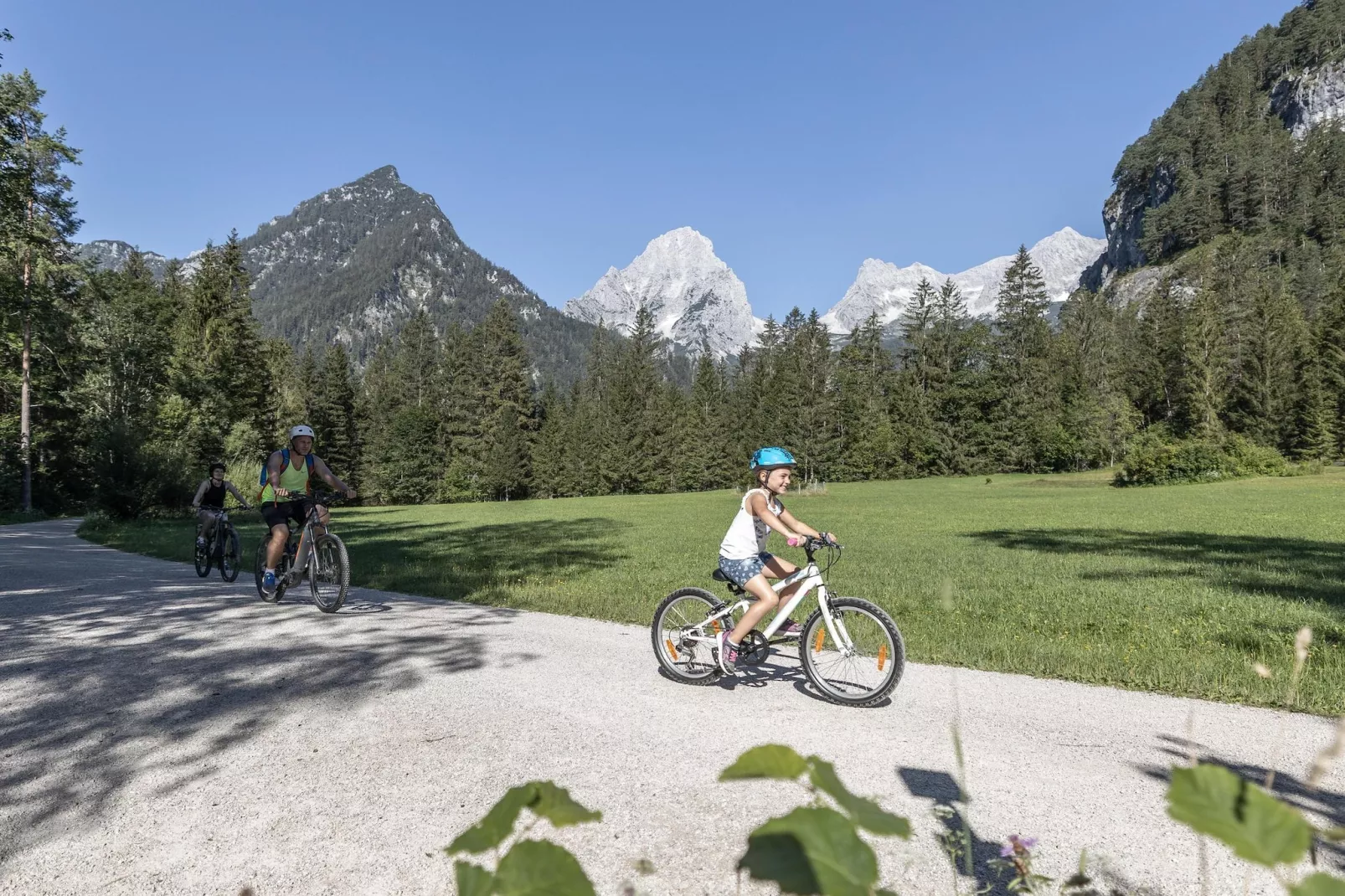 Schiederweiher-Gebieden zomer 1km