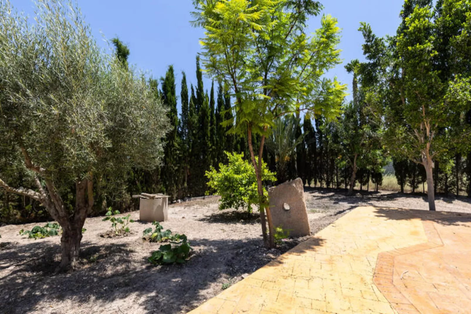 Maison à Catral-Niet-getagd