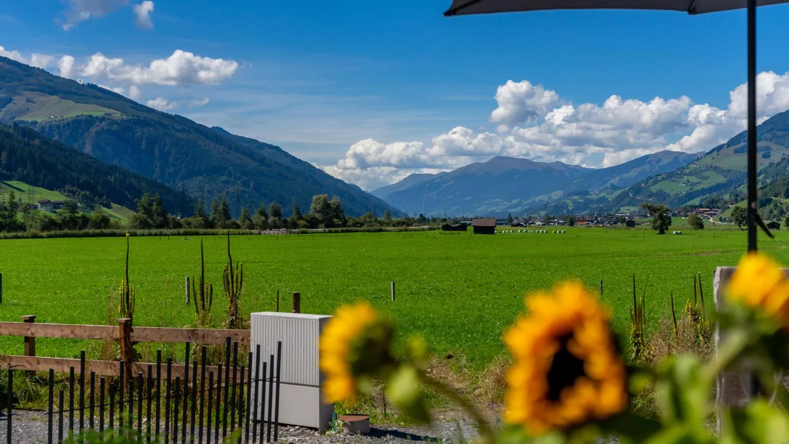 viewsummer