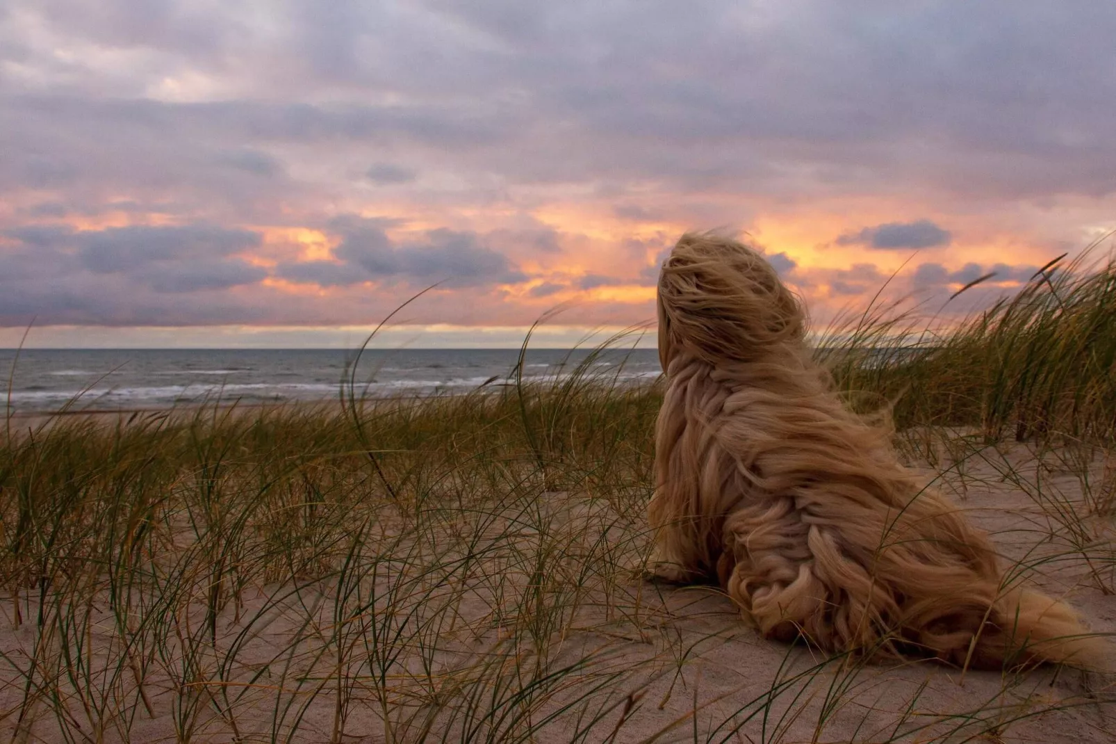 6 persoons vakantie huis in Hvide Sande-Waterzicht