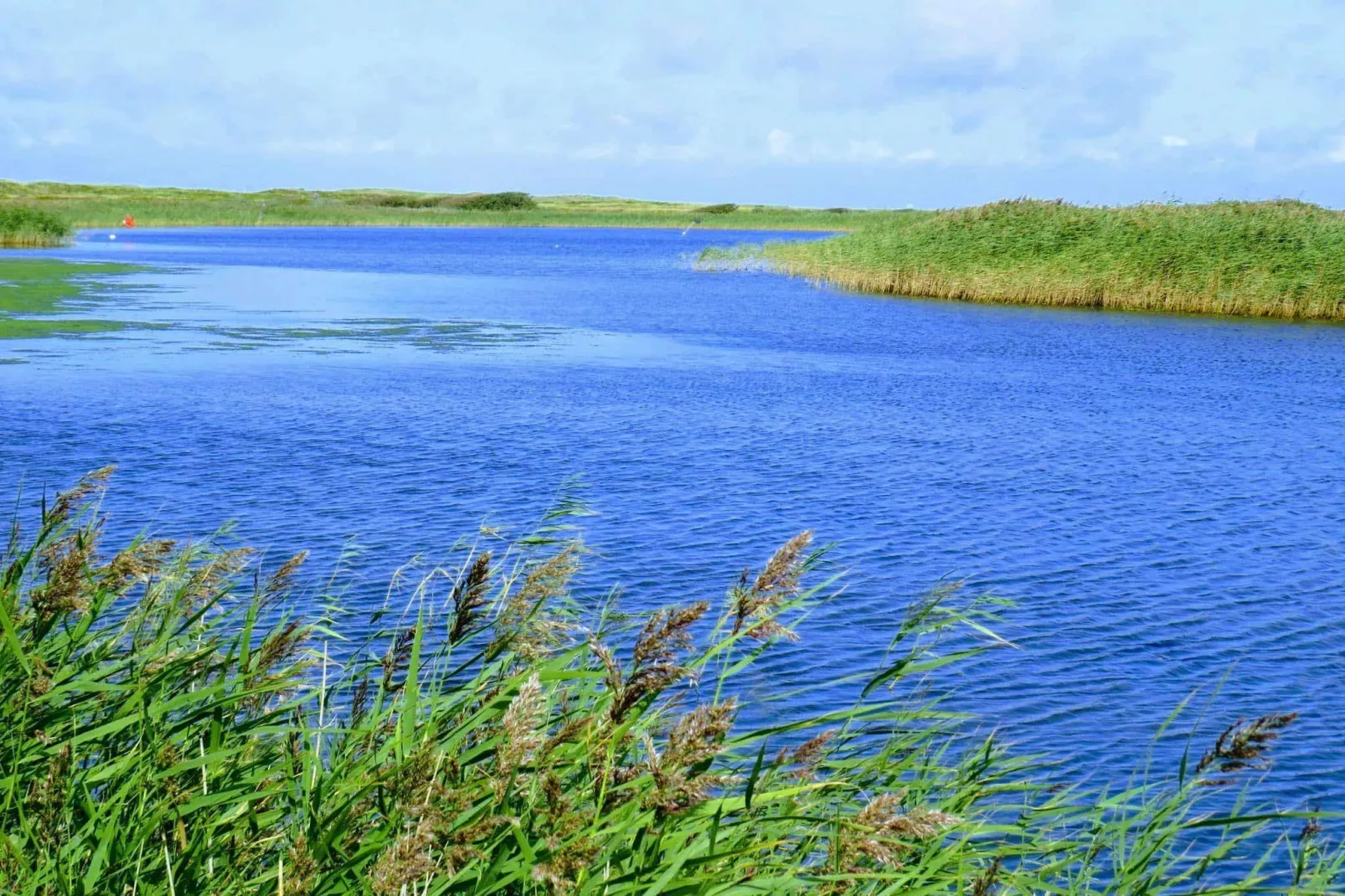 6 persoons vakantie huis in Hemmet-Waterzicht