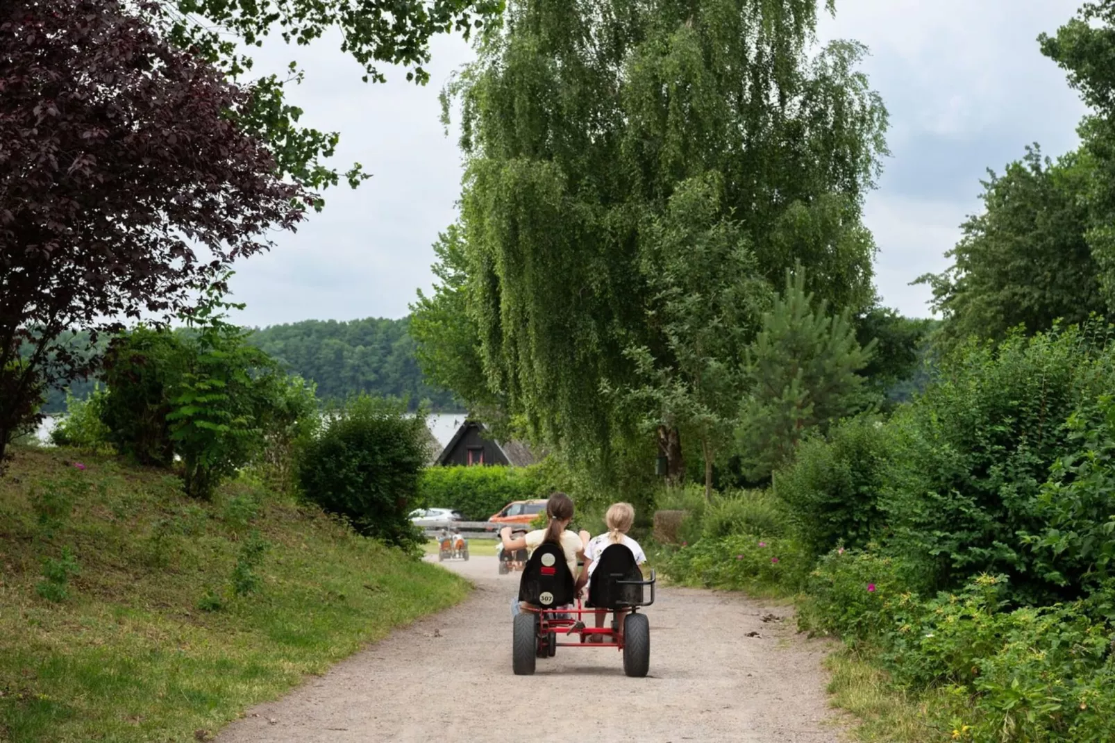 Apartment Strandläufer 116-Gebieden zomer 1km