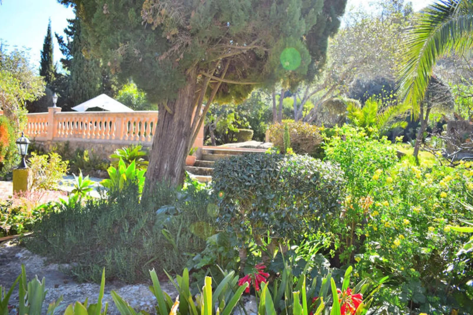 Maison à Pollença - Port de Pollença-Niet-getagd