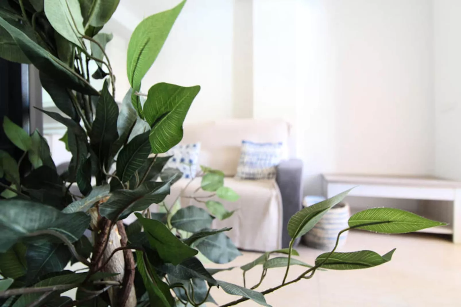 Appartements à Canet d'En Berenguer-Niet-getagd