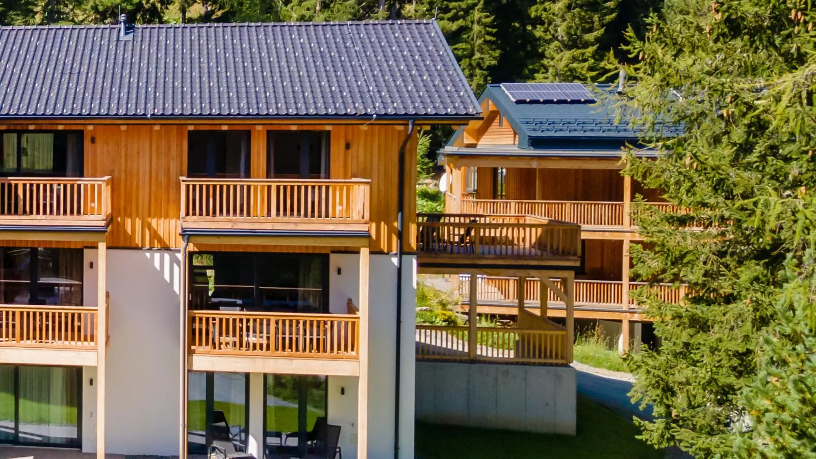 Alpinchique 3 Mountain Chalet-Buitenkant zomer