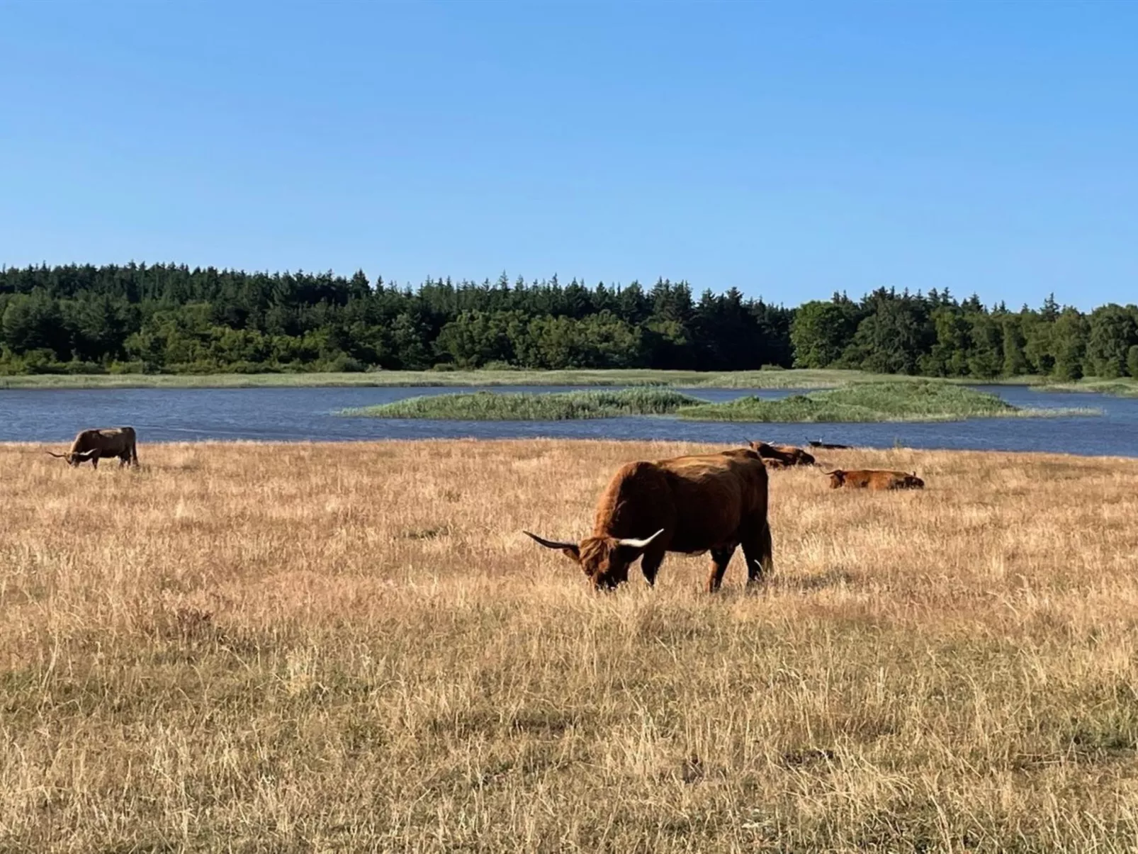 "Iwa" - 15m from the sea-Buiten