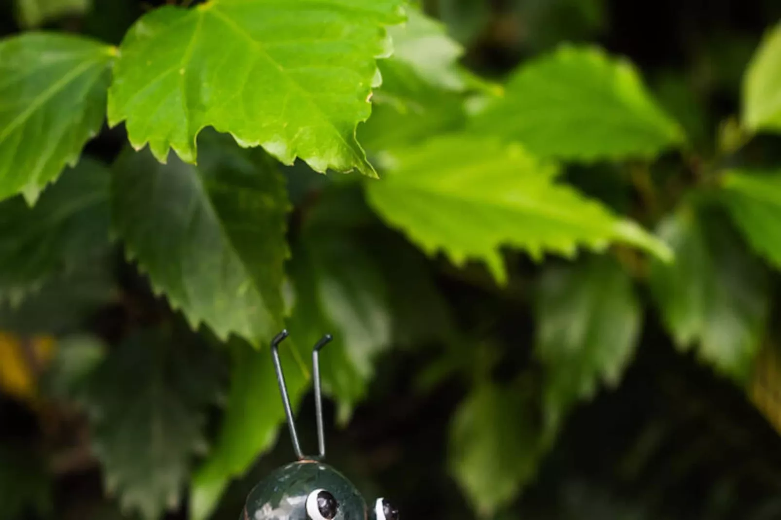 Appartements à Arenal d'en Castell-Niet-getagd