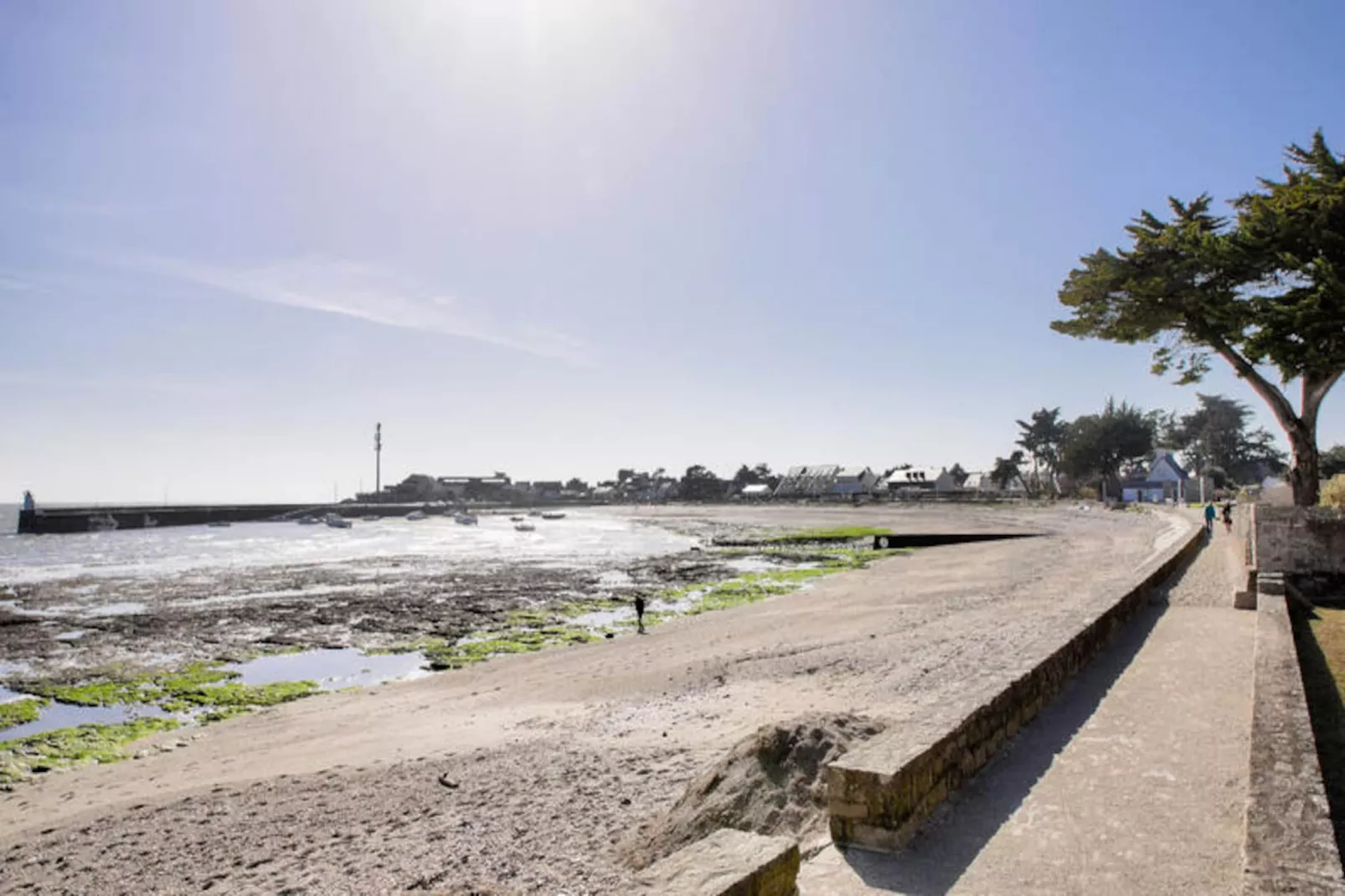 Studio à Sarzeau-Niet-getagd