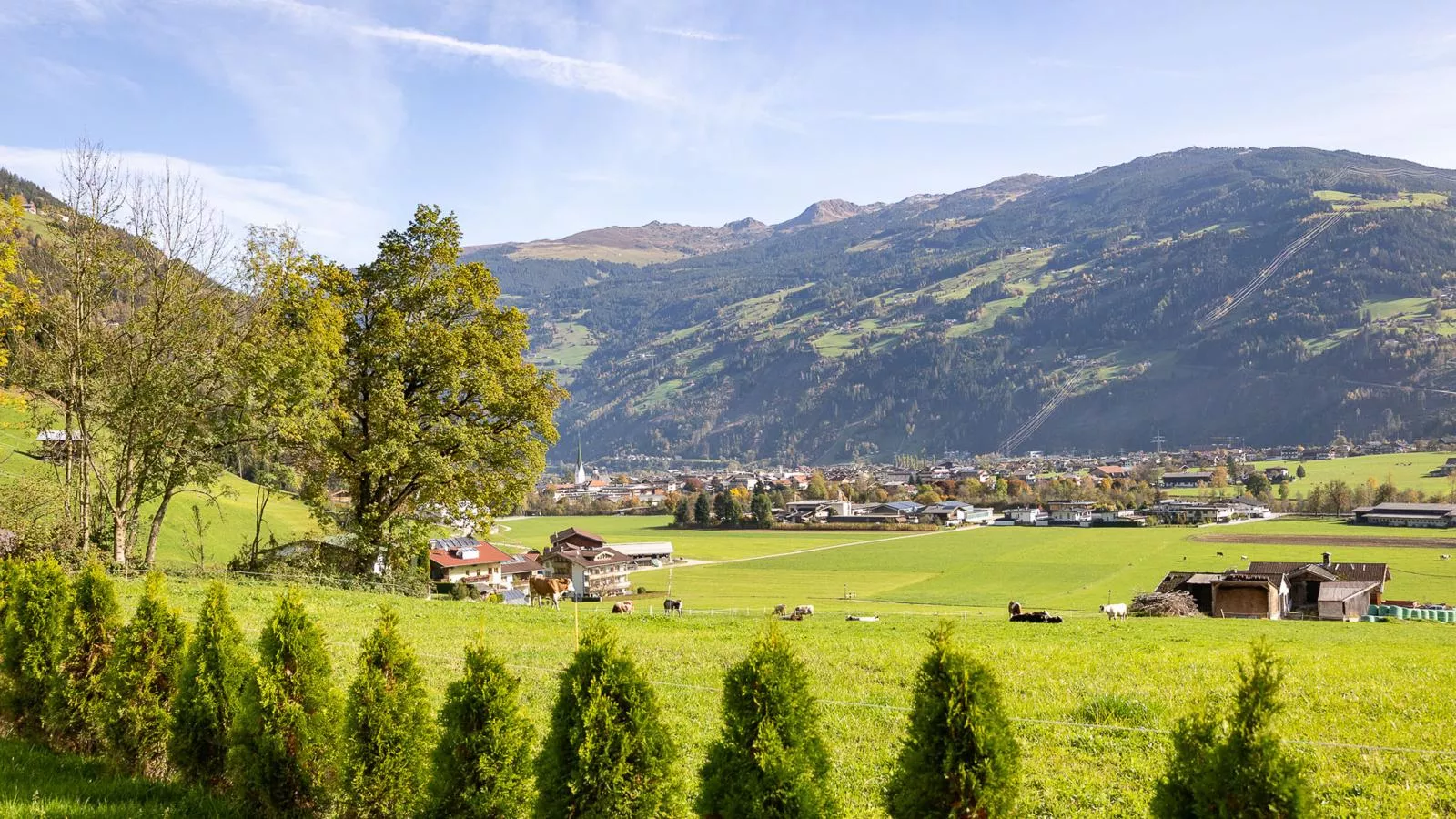 Appart Zell-Uitzicht zomer