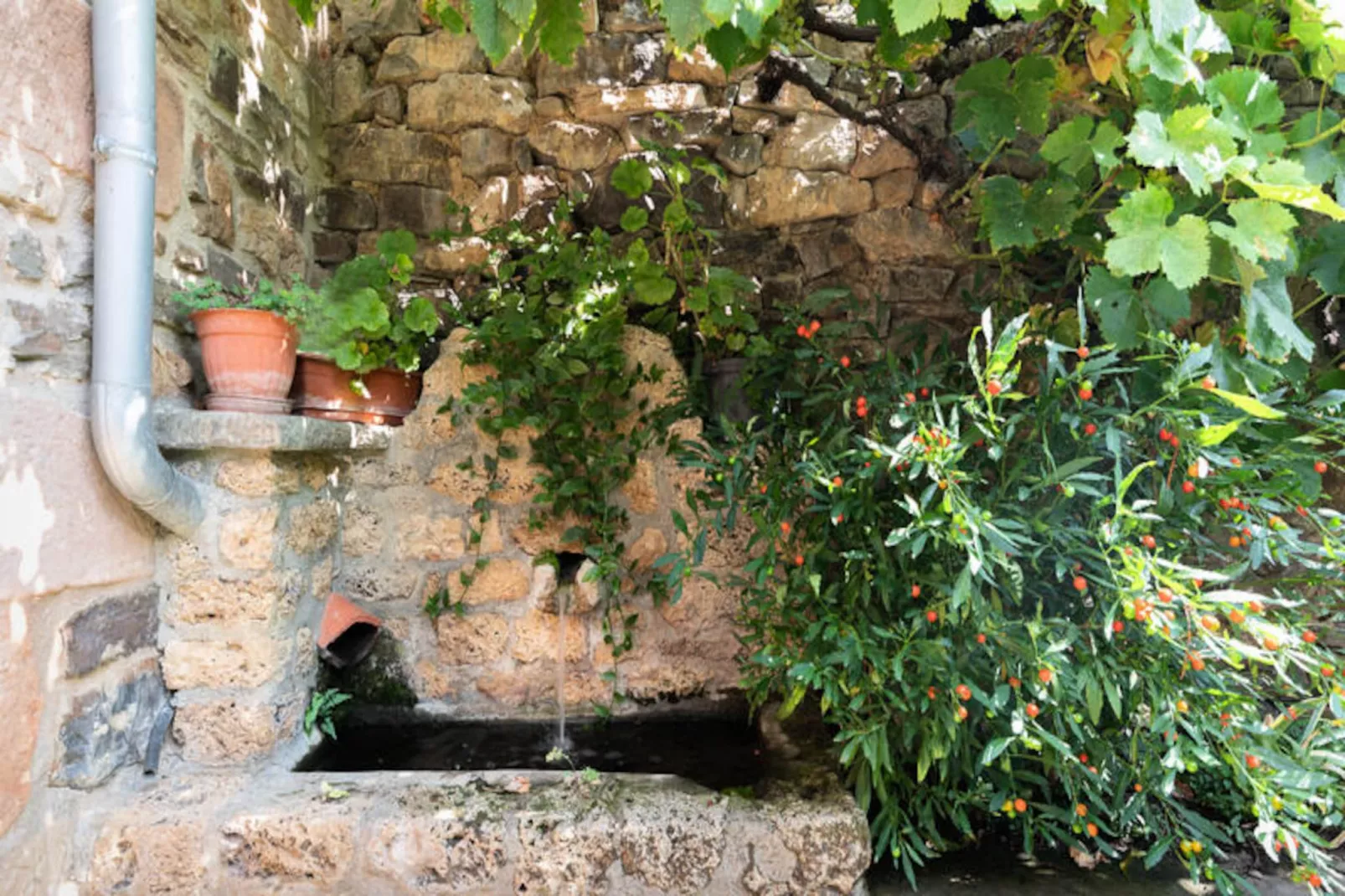 Maison à Cabezon de Liebana Cantabria-Niet-getagd