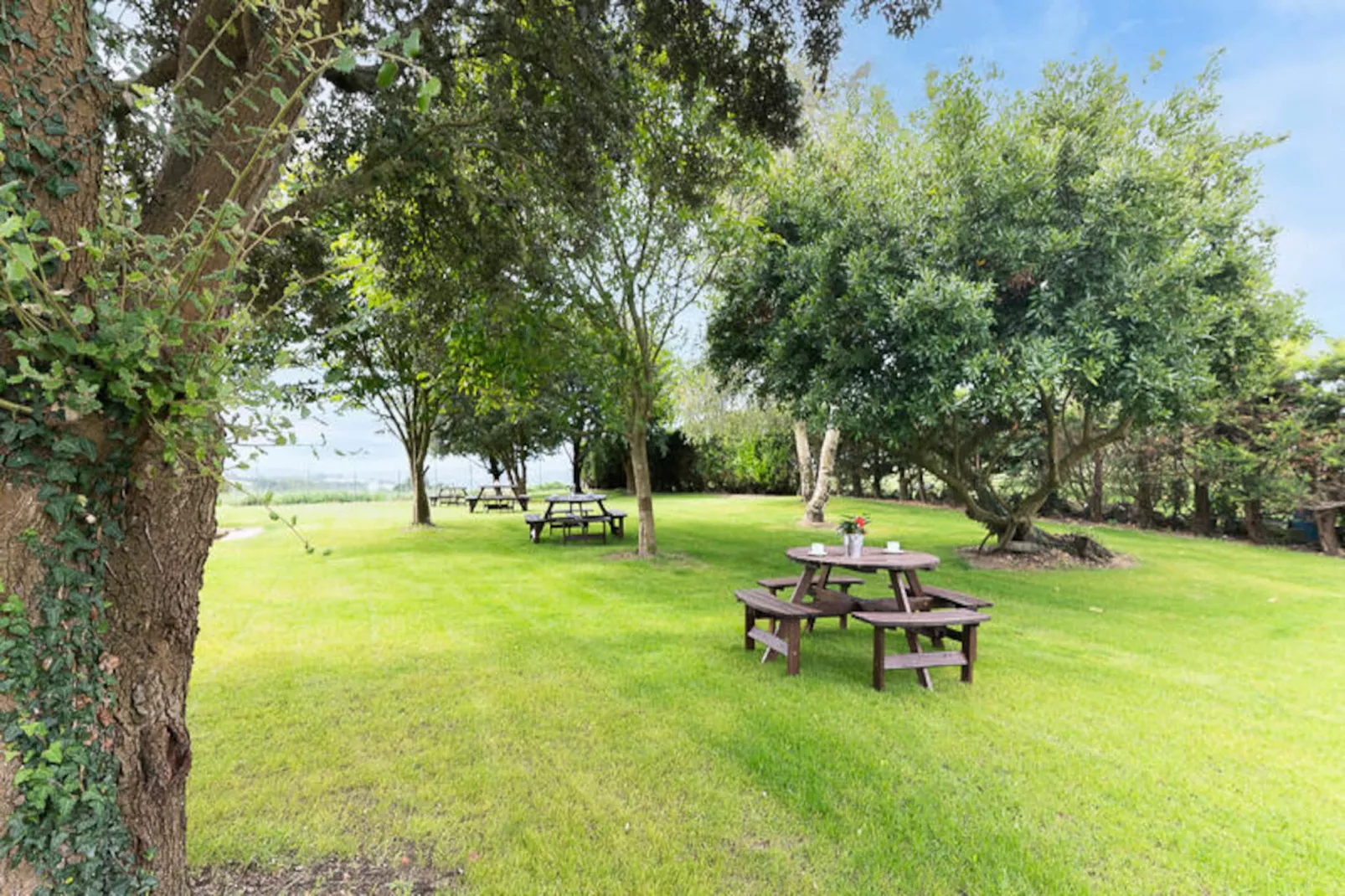 Appartements à Miengo-Niet-getagd