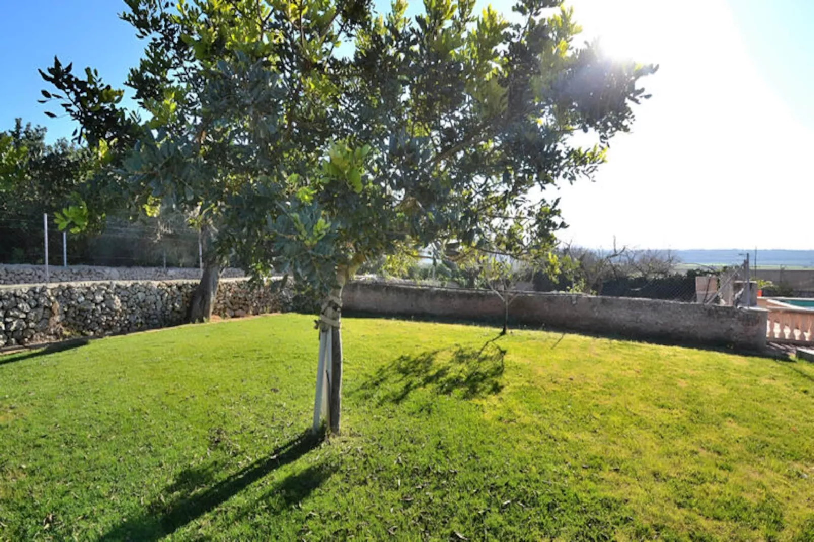 Maison à Ariany-Niet-getagd