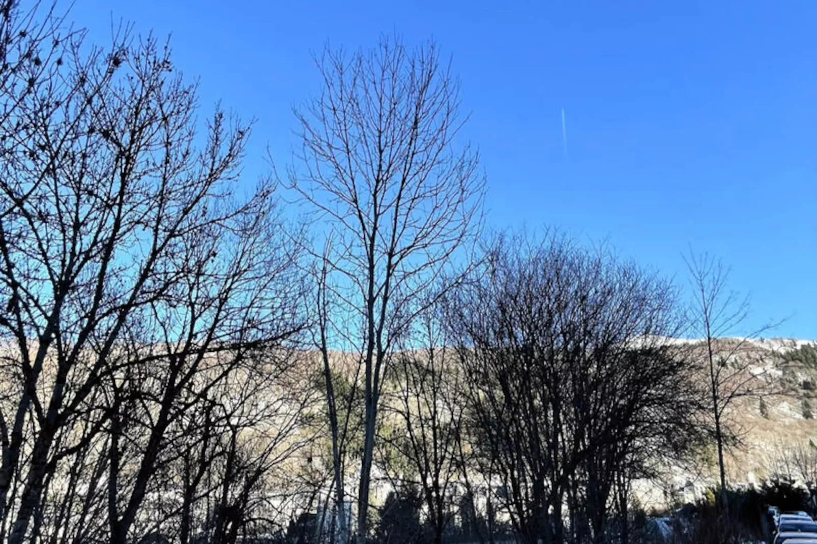 Appartements à Le Mont Dore-Niet-getagd