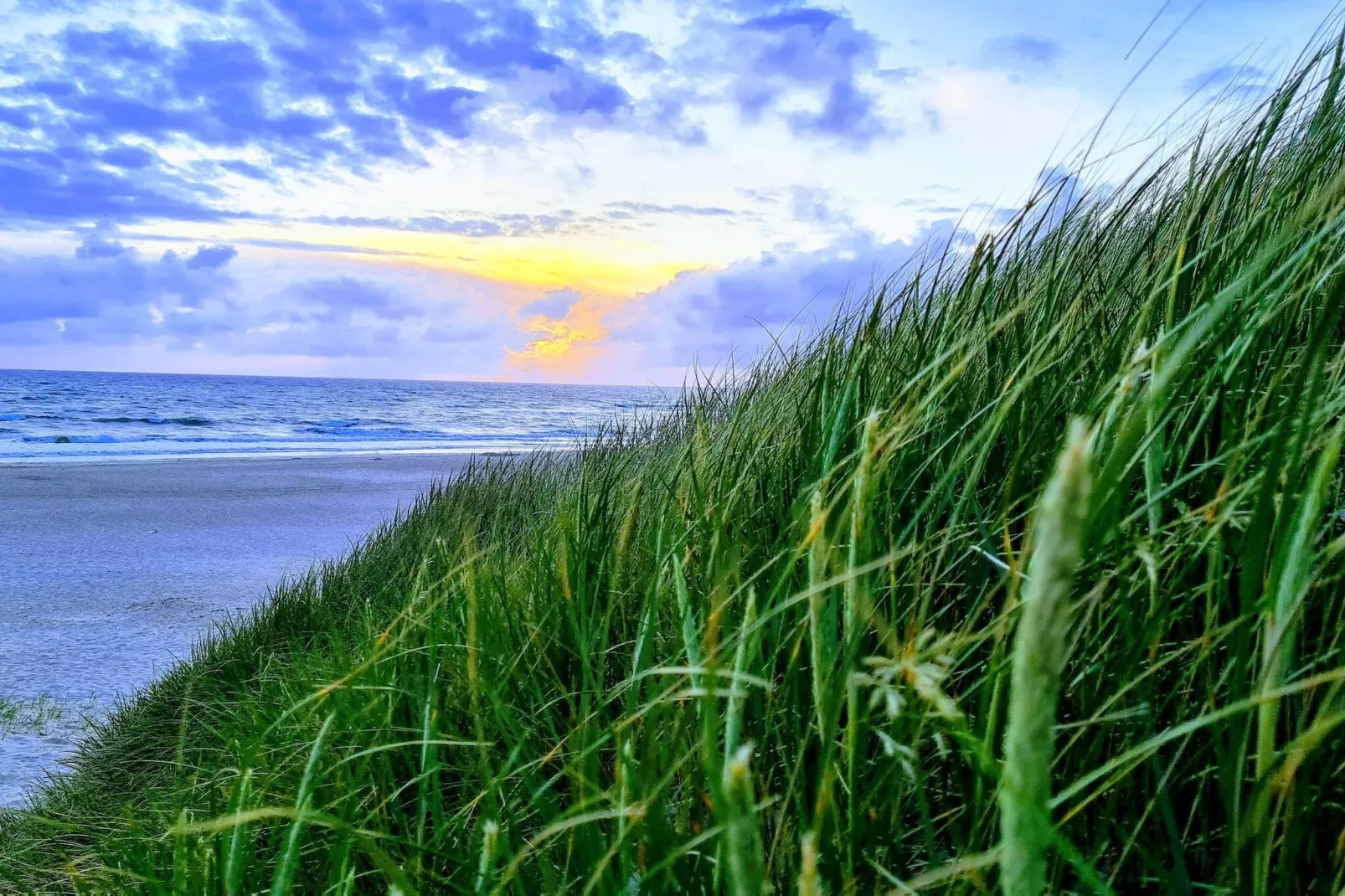 30 persoons vakantie huis in Nørre Nebel-Waterzicht