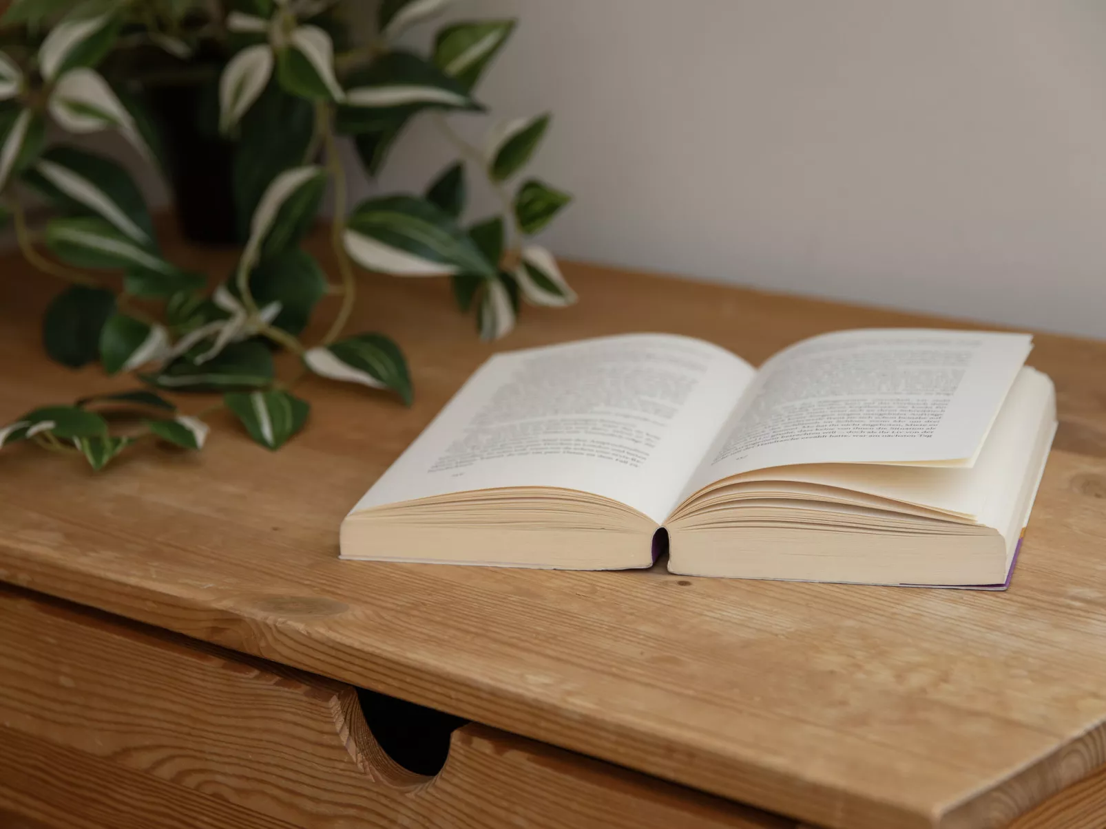 Schweizerheim Apt.5-Binnen