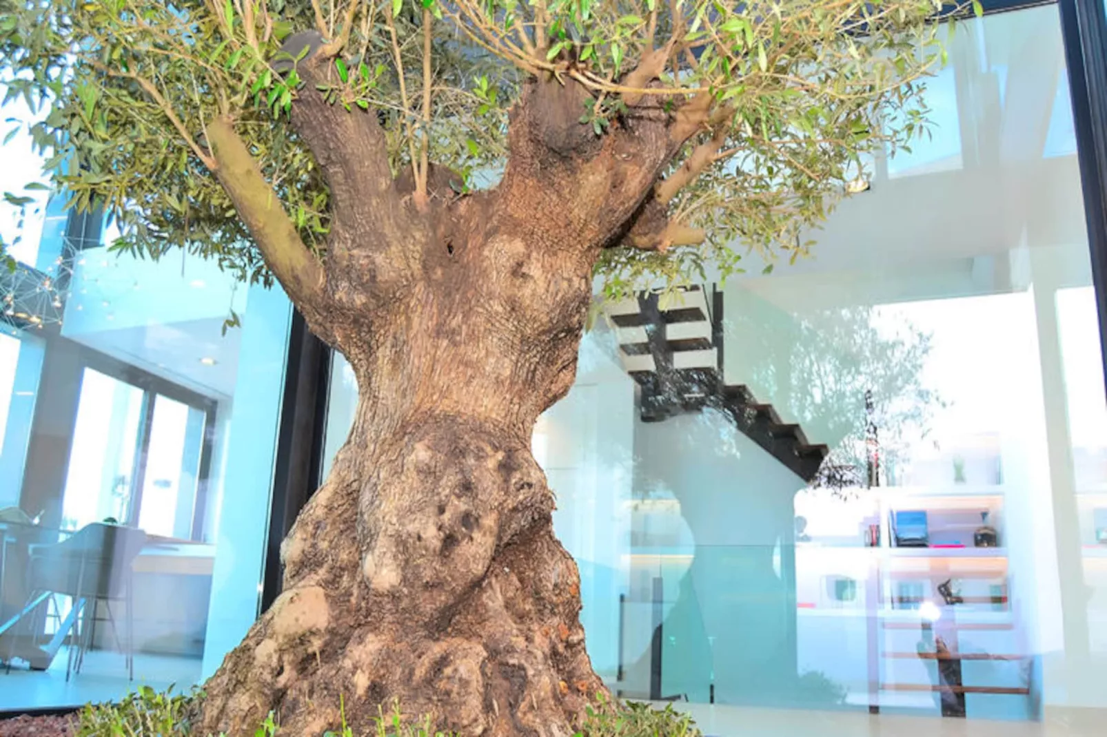 Maison à Búger-Niet-getagd