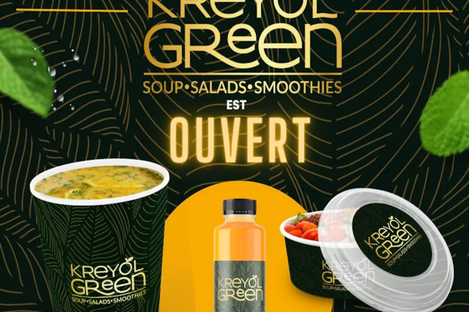 Studio à Fort de France - Niet-getagd