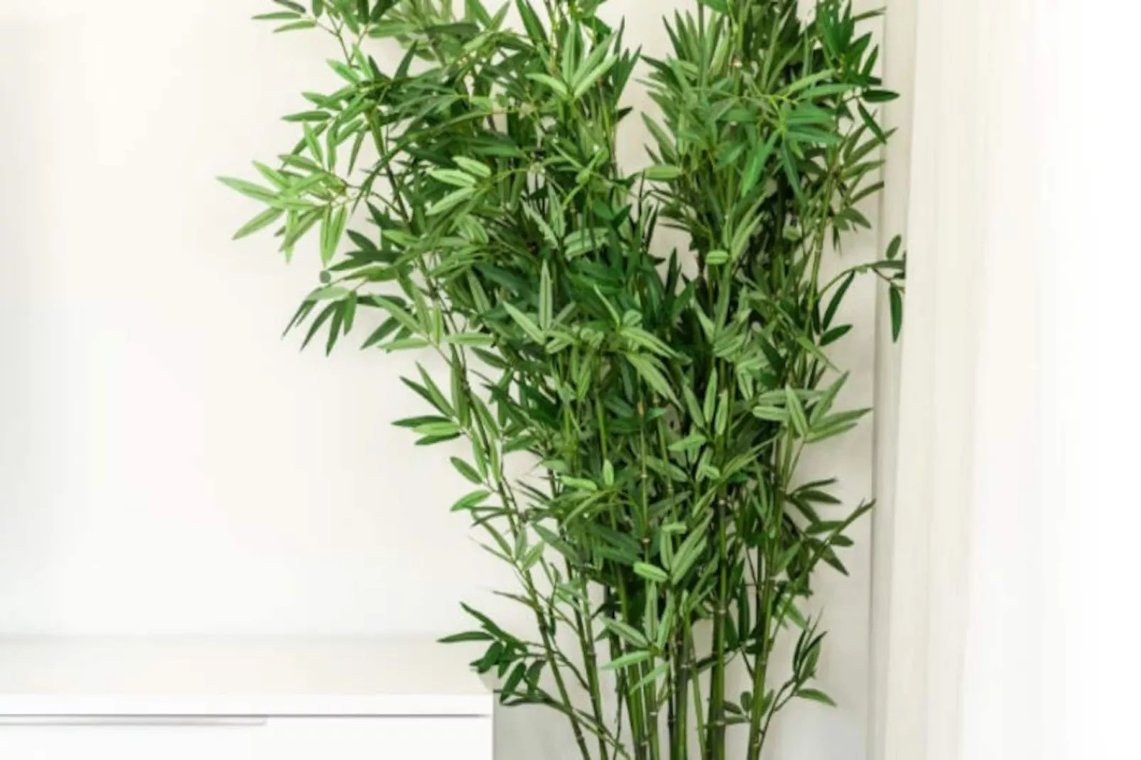 Appartements à Casares-Niet-getagd