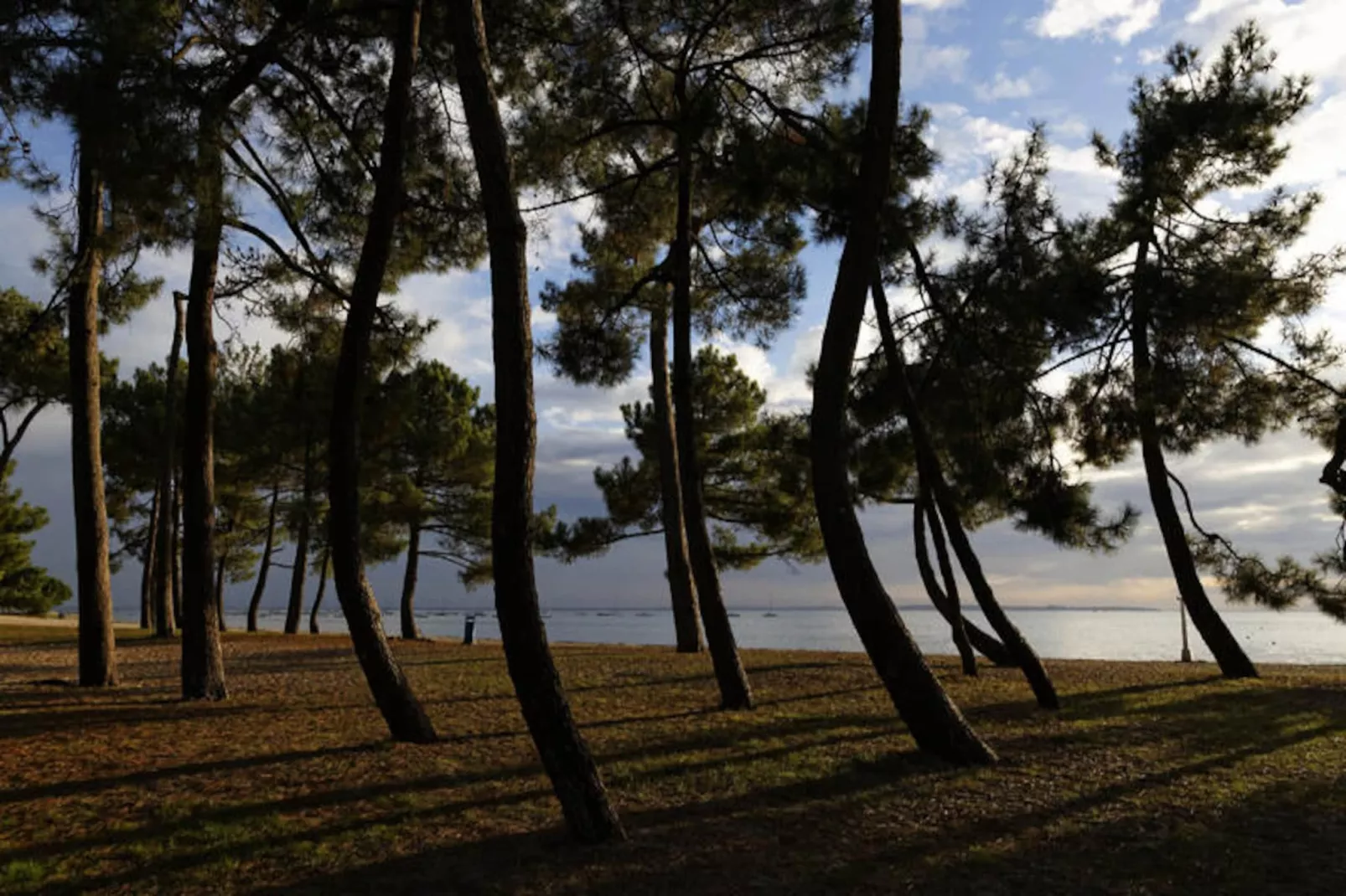 Maison à Andernos-les-Bains-Niet-getagd