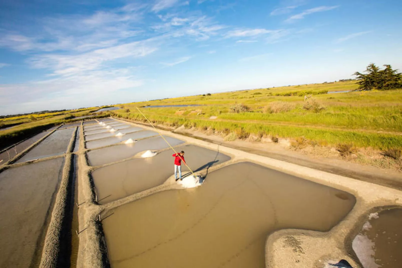 Maison à La guerinière - Ile de Noirmoutier-Niet-getagd