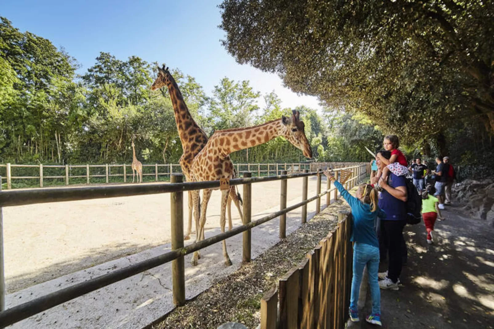 Appartements à Les Sables d'Olonne-Niet-getagd