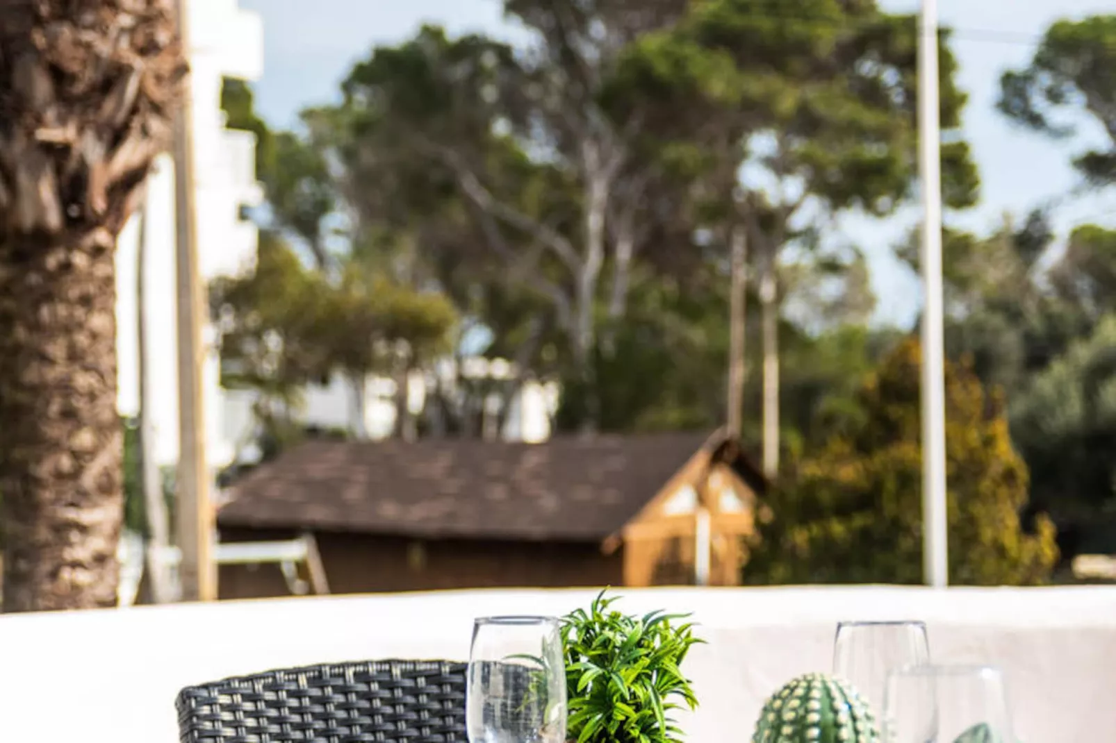 Appartements à Cala Blanca-Niet-getagd